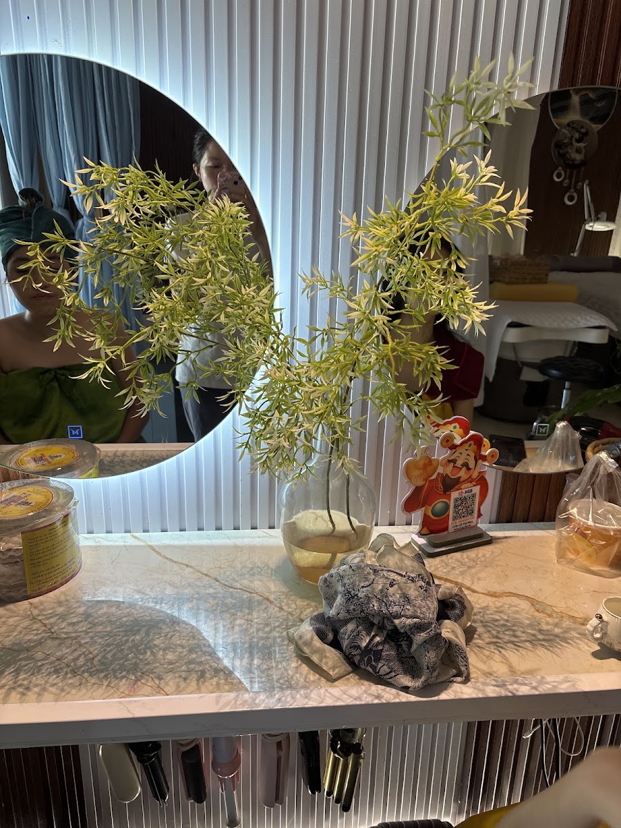 Salon Beauty Spa - Massage Body - Skin Care - Gội Đầu Dưỡng Sinh - Lê Nga
