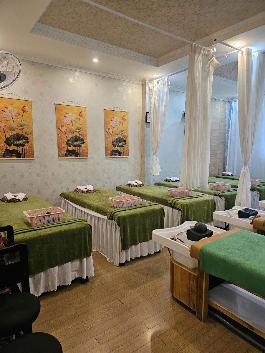 LOTUS SPA - Premium Massage My Khe Beach