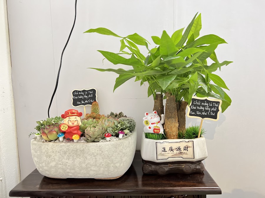 Là Thư- Gội Đầu Dưỡng Sinh 🌿